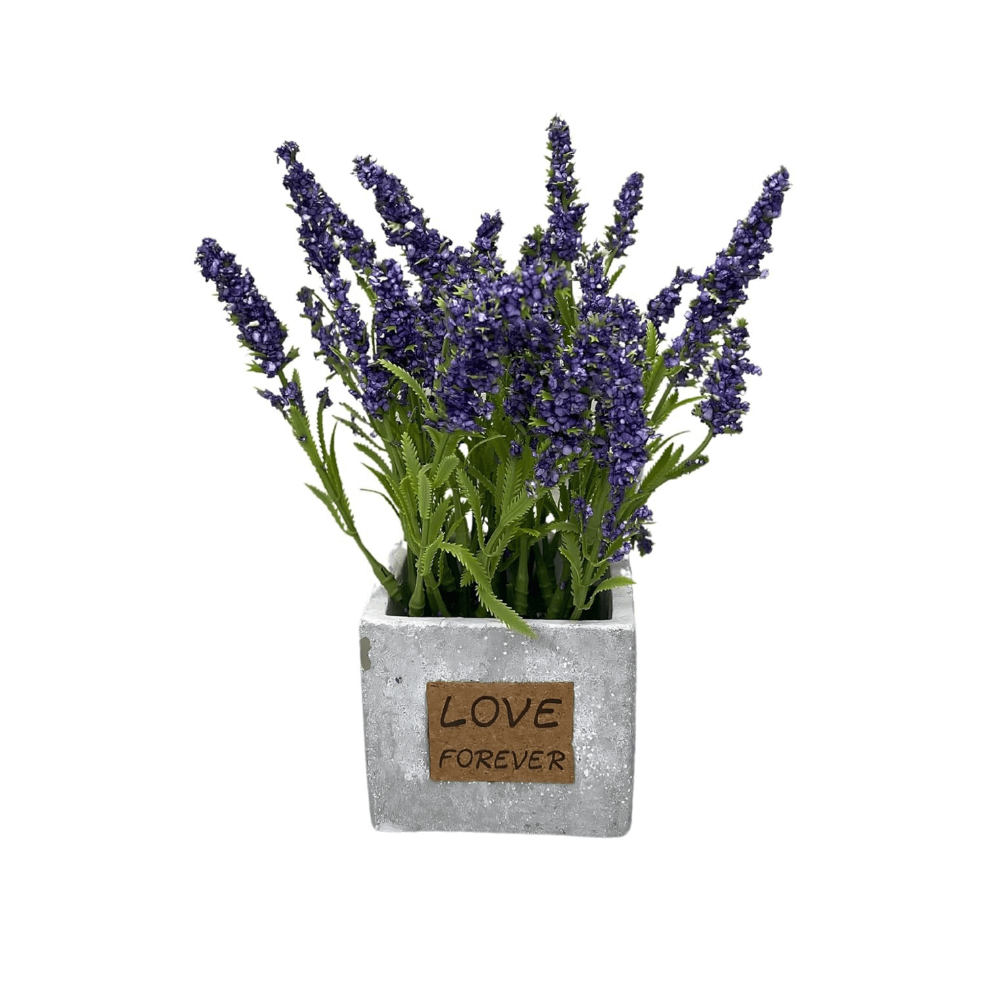 Gift Combo for Mother