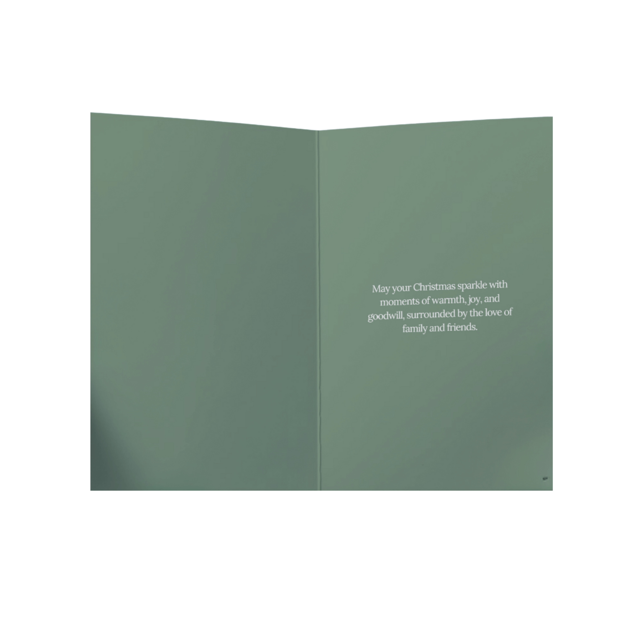 Merry Christmas Greeting Card