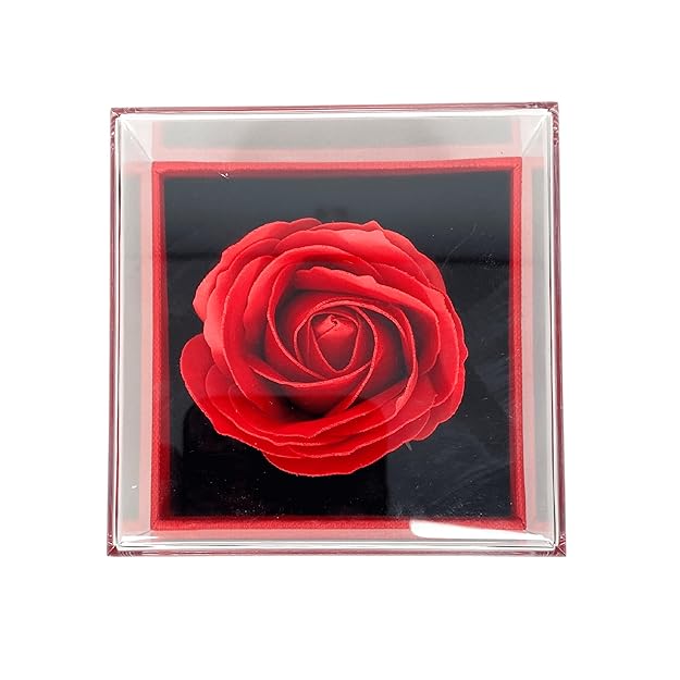 Forever Rose, Heart Shaped Pendant with Golden Detailing & Anti-Tarnish Chain in a Gifting Box