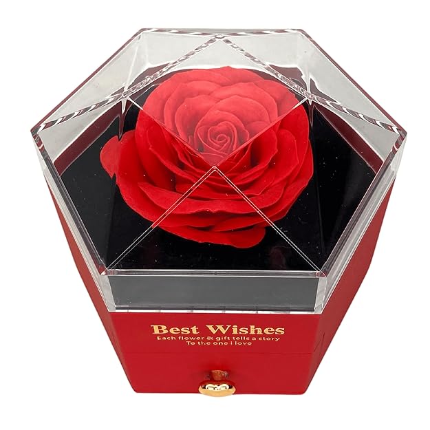 Magnetic Butterfly Shaped Pendant with Golden Detailing, Anti-Tarnish Chain and Forever Rose in a Gift Box